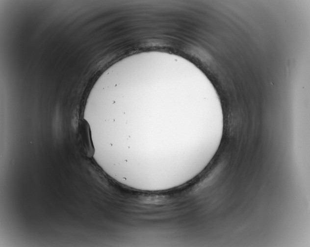 X0000088050833200706081628
