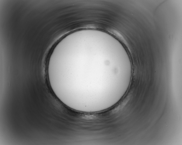X0000088050835200706081628