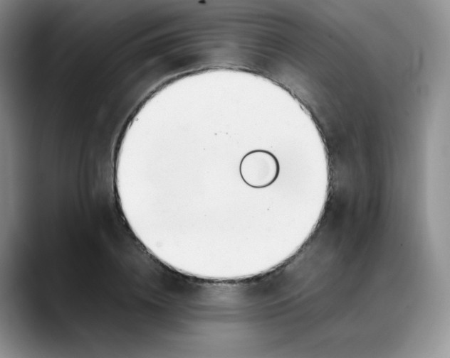 X0000088050836200706081628