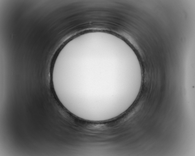 X0000088050837200706081628