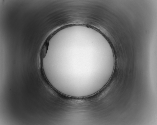 X0000088050838200706081628