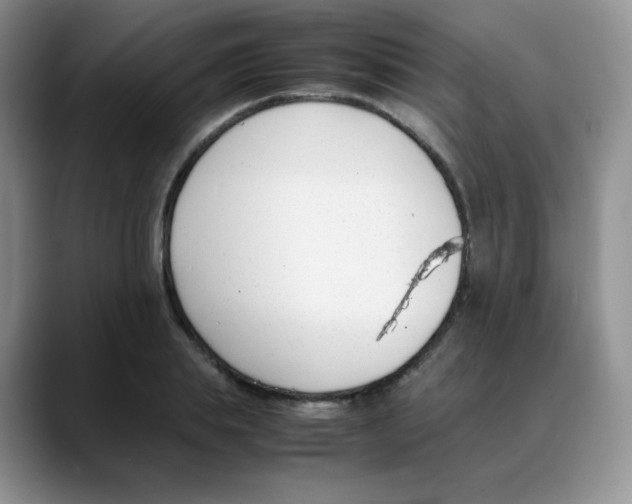 X0000088050839200706081628