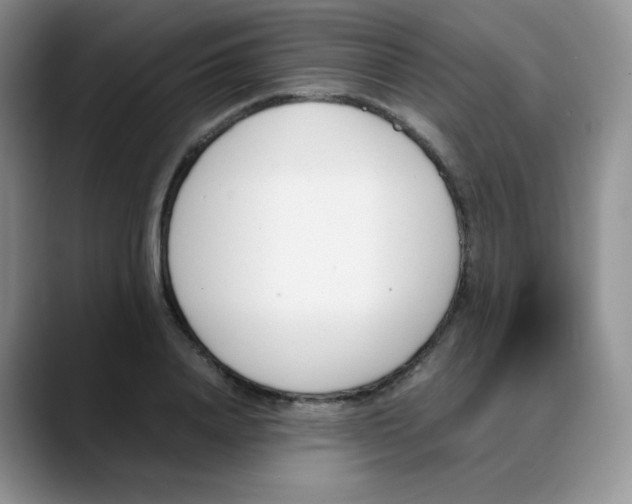 X0000088050840200706081628