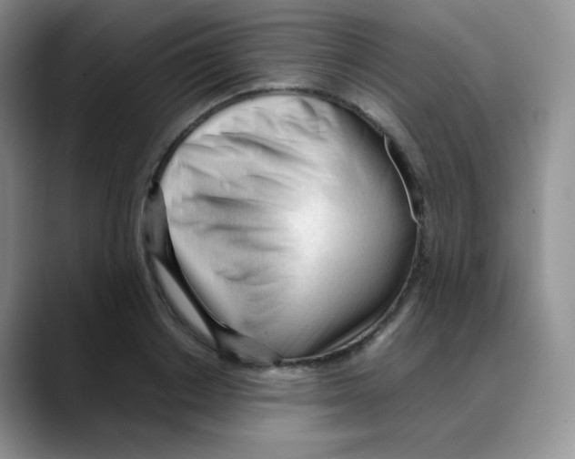 X0000088050842200706081628