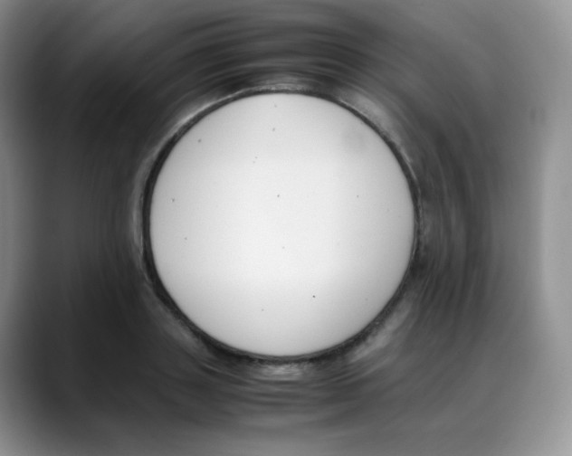 X0000088050843200706081628