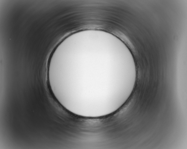 X0000088050844200706081628