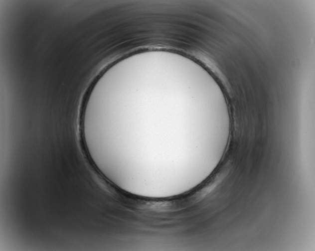 X0000088050845200706081628