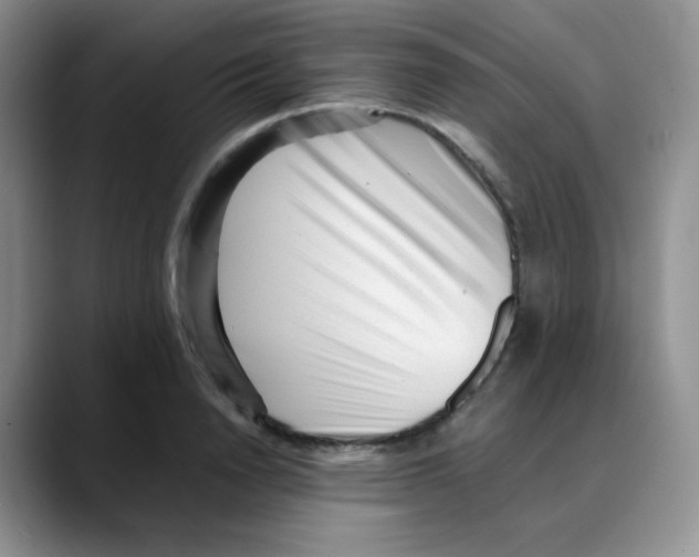 X0000088050846200706081628