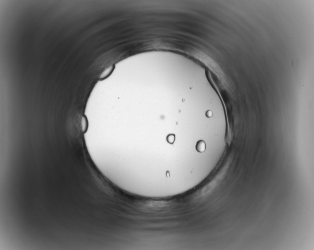 X0000088050849200706081628