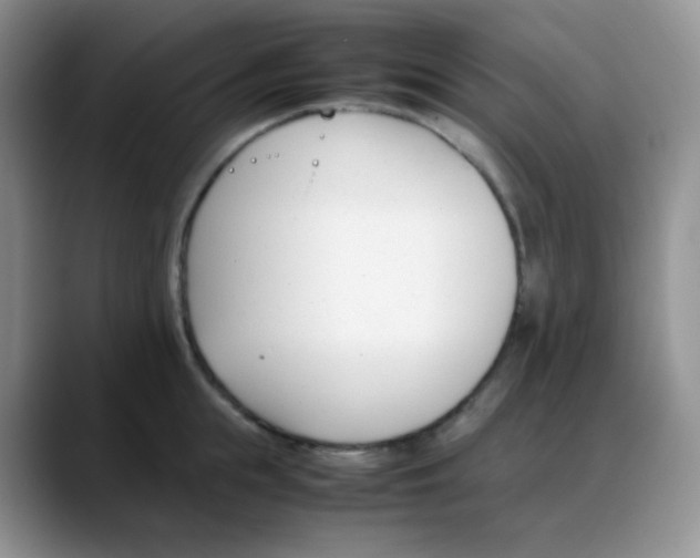 X0000088050855200706081628