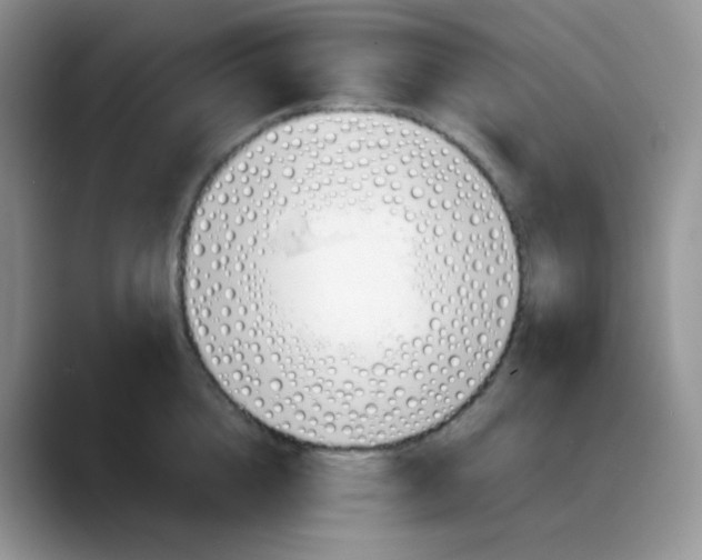 X0000088050856200706081628