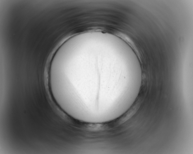 X0000088050859200706081628