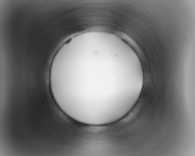 X0000088050860200706081628
