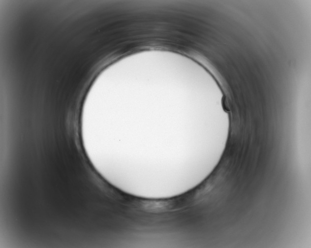 X0000088050861200706081628