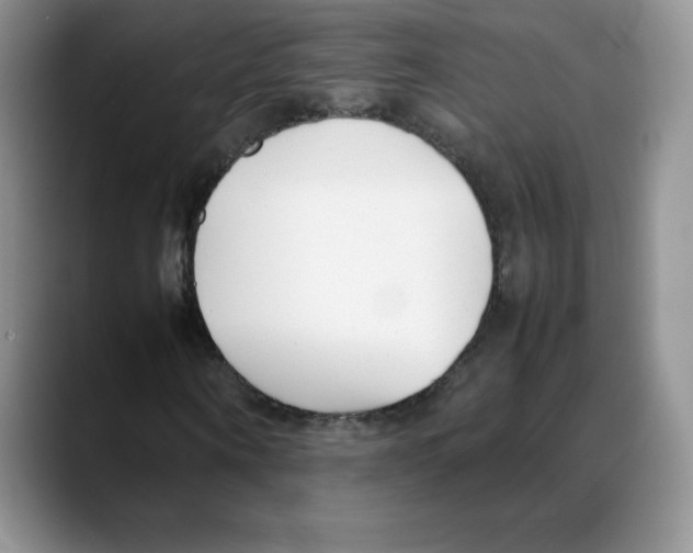 X0000088050866200706081627