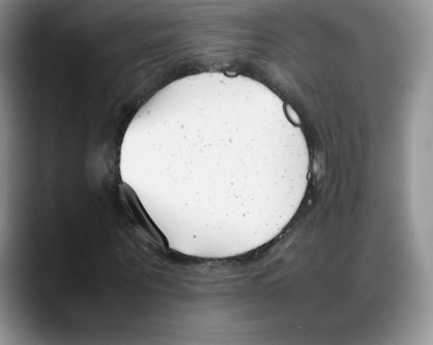X0000088050867200706081627