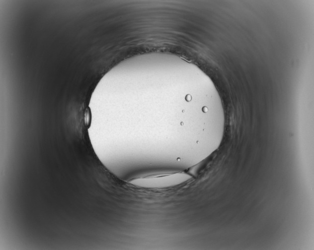 X0000088050868200706081627