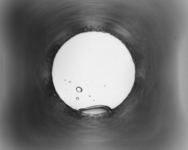 X0000088050869200706081627