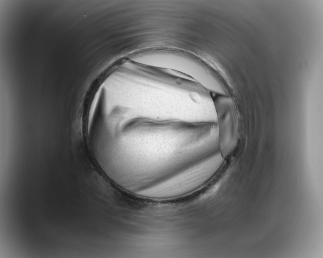 X0000088050877200706081627