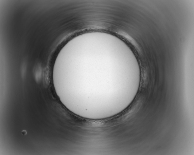 X0000088050878200706081627