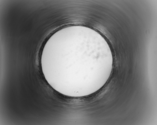 X0000088050883200706081627
