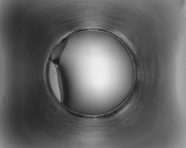 X0000088050885200706081627