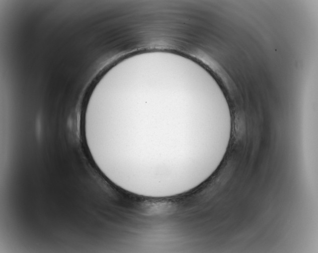 X0000088050886200706081627