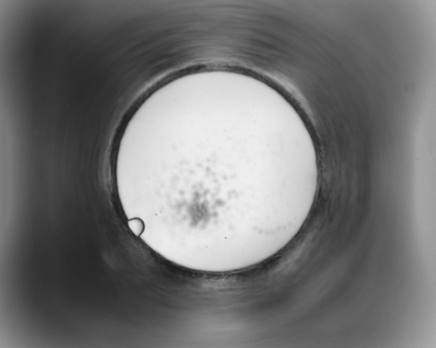 X0000088050887200706081627