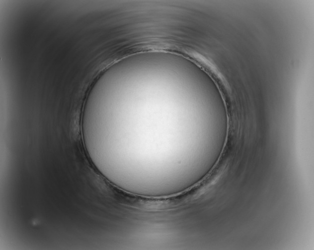 X0000088050889200706081627