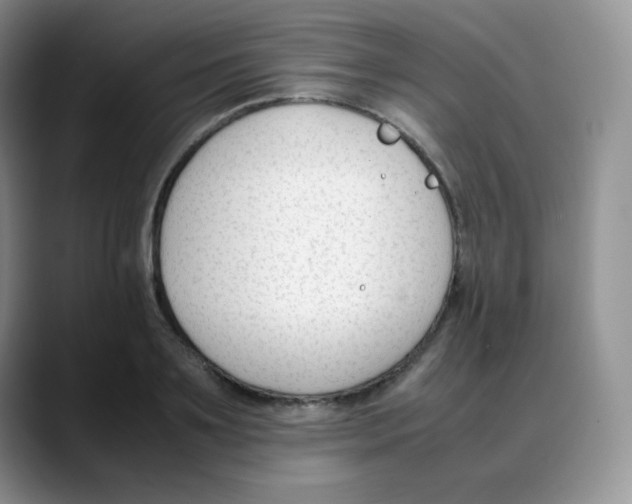 X0000088050891200706081627