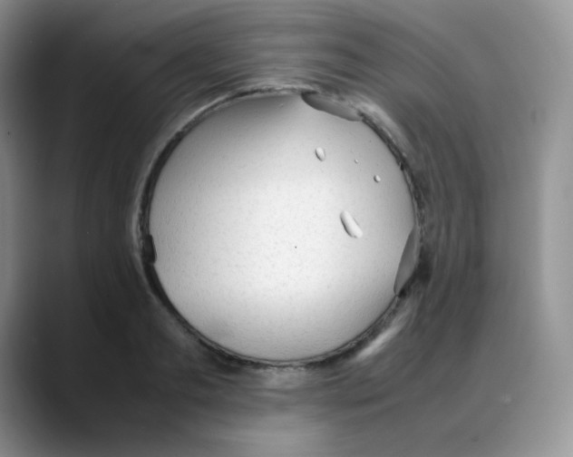 X0000088050893200706081627