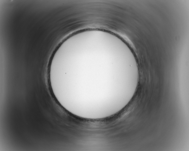 X0000088050895200706081627