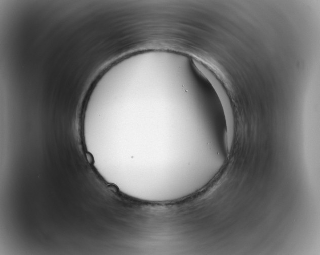 X0000088050896200706081627