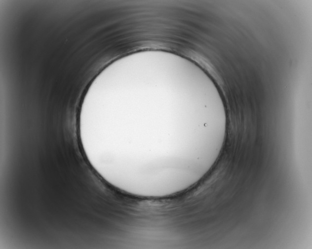 X0000088050898200706081627