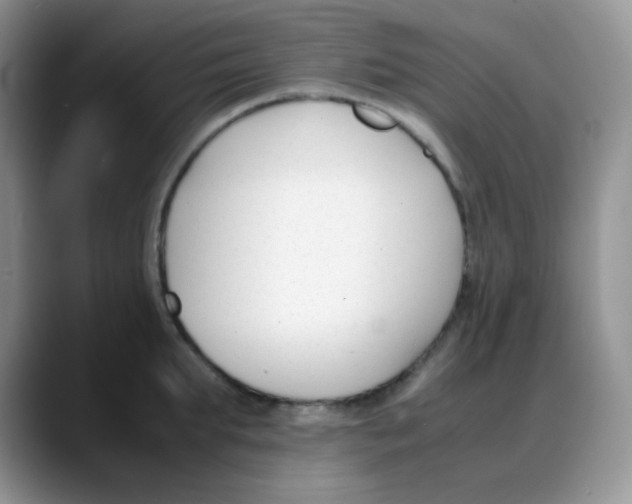 X0000088050903200706081627