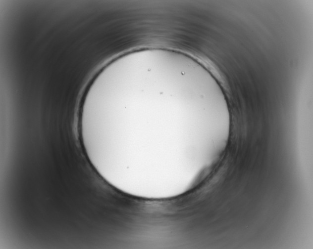 X0000088050904200706081627
