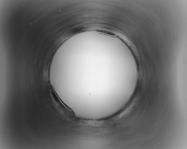 X0000088050905200706081627
