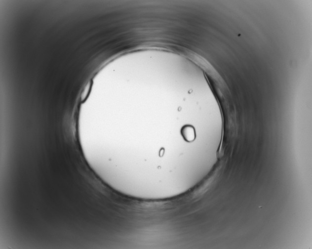 X0000088050908200706081627