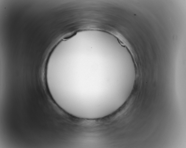 X0000088050909200706081627