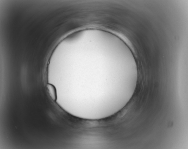 X0000088050911200706081627