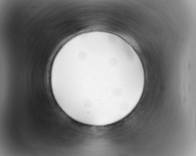X0000088050912200706081627