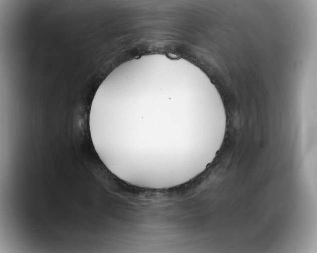 X0000088050914200706081626