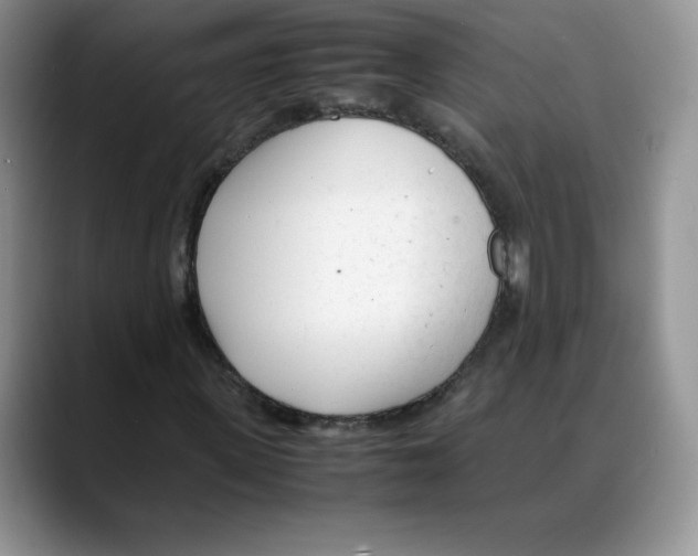 X0000088050915200706081626