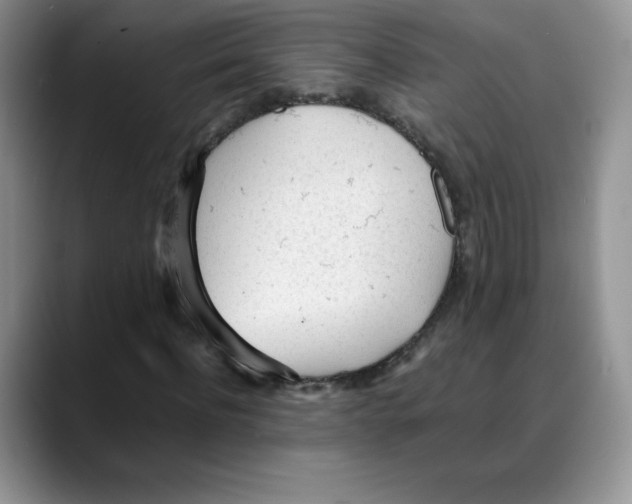 X0000088050916200706081626