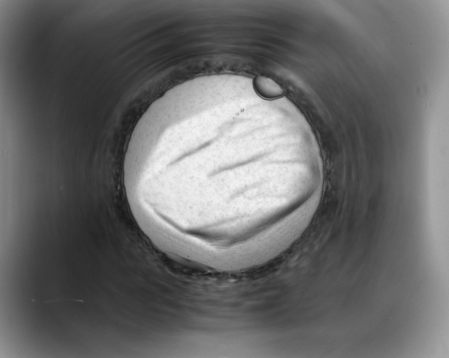 X0000088050919200706081626