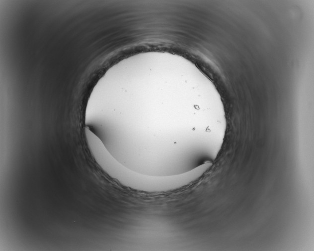 X0000088050920200706081626