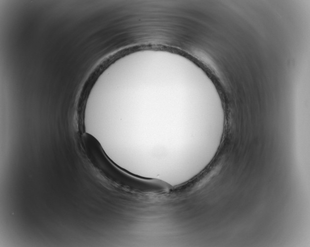 X0000088050924200706081626