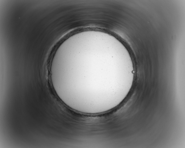 X0000088050925200706081626