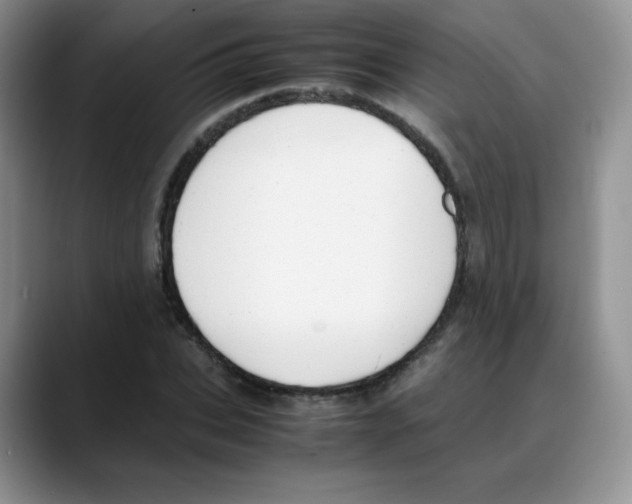 X0000088050927200706081626