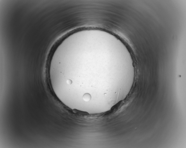 X0000088050928200706081626